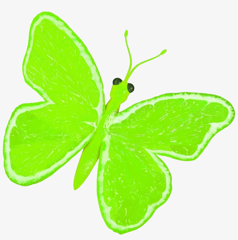 This Free Icons Png Design Of Citrus Fruit Butterfly, transparent png download