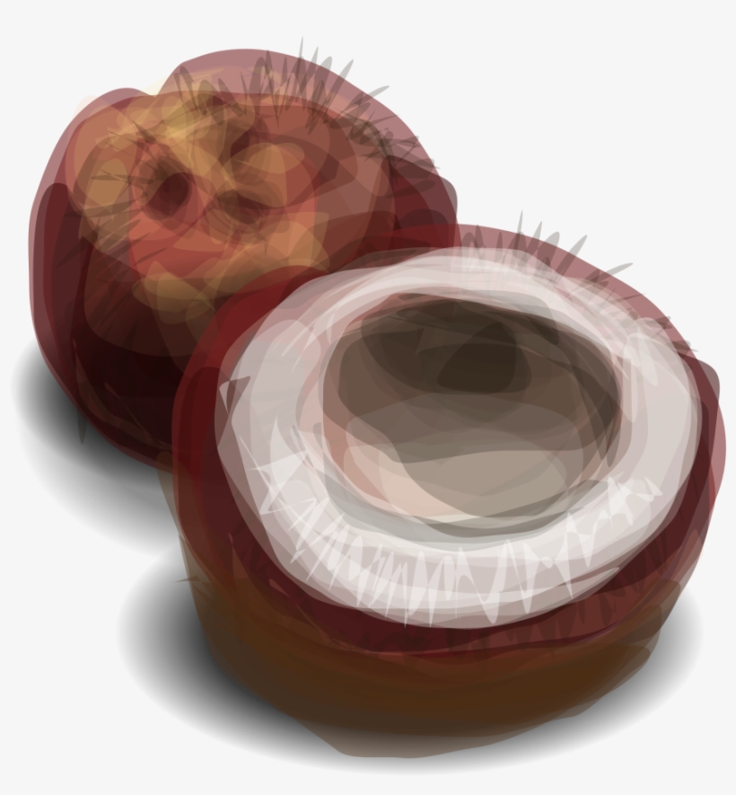 How To Set Use Coconut Clipart, transparent png download