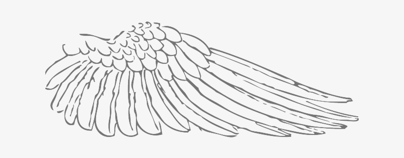 Left Craneclan Feather - Wings Right, transparent png download