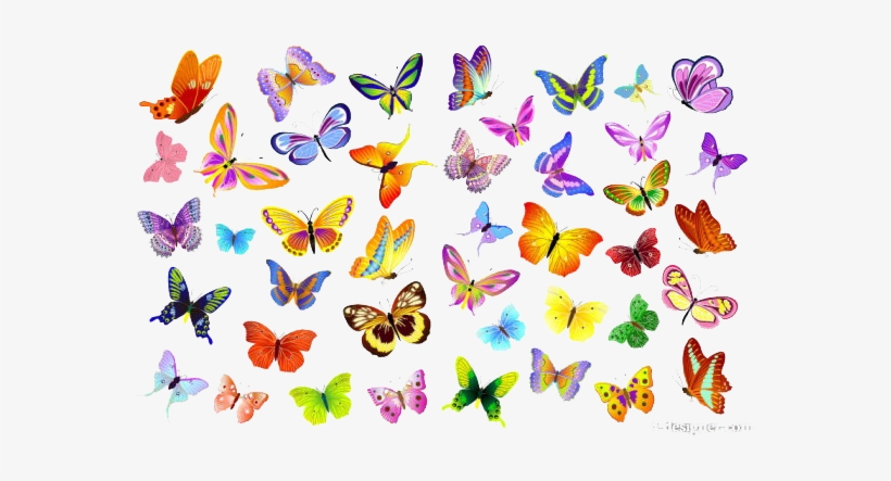 Butterflies Vector Png File - Butterflies Vector, transparent png download
