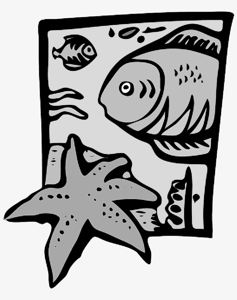 Mb Image/png - Clip Art Marine Biology, transparent png download