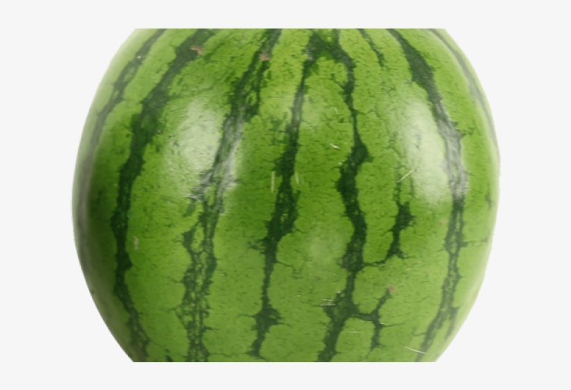 Watermelon Png Transparent Images - Watermelon Png, transparent png download