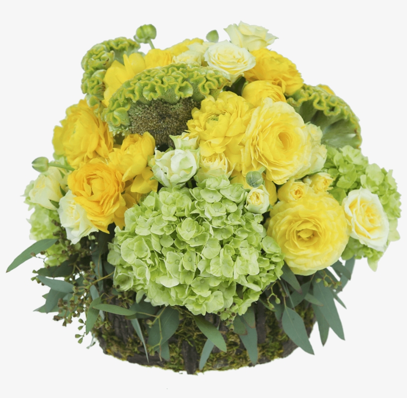 Hobbit Hole - Garden Roses, transparent png download