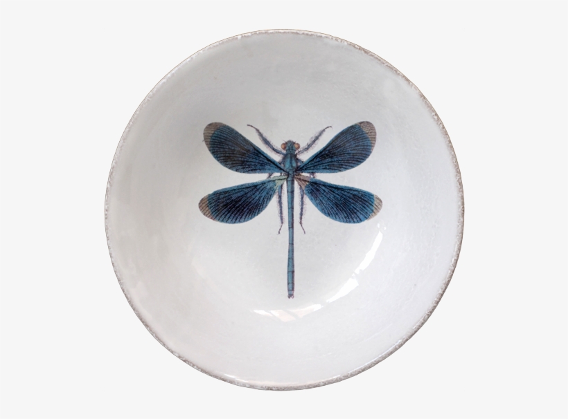John Derian For Astier De Villatte Dragonfly Plate, transparent png download