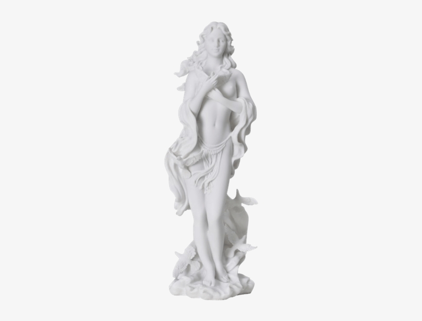 Marble Aphrodite Statue - Callipyge Venus, transparent png download