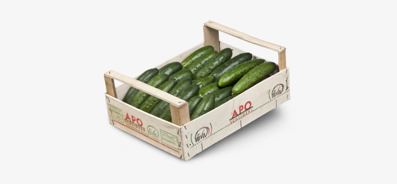 Cucumbers - Cassetta Di Cetrioli, transparent png download