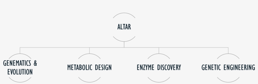 Our Team Gathers Seasoned Scientists, Engineers And - Altar, transparent png download