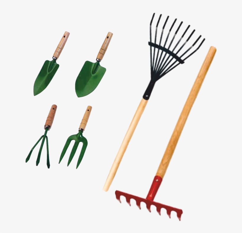 Below Is The Selection Of Tools That Your Gardening - Garden Tool Designs For The Elderly, transparent png download
