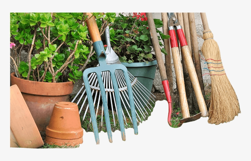 It Can Be Difficult To Know The Best Fertilizers And - Transparent Garden Rake Png, transparent png download