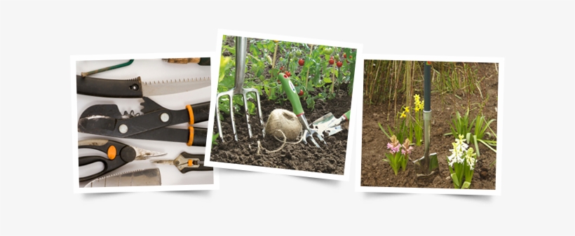 We Stock A Full Range Of Yeoman Garden Tools - Desert Rose, transparent png download
