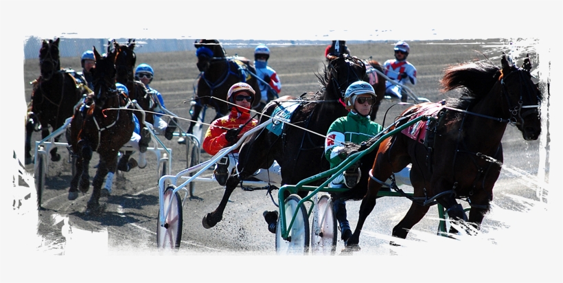 Theblackbook - Book, transparent png download