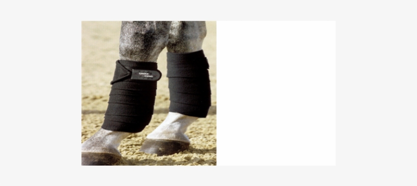 Bandages Linings Climatex Large - Steel-toe Boot, transparent png download