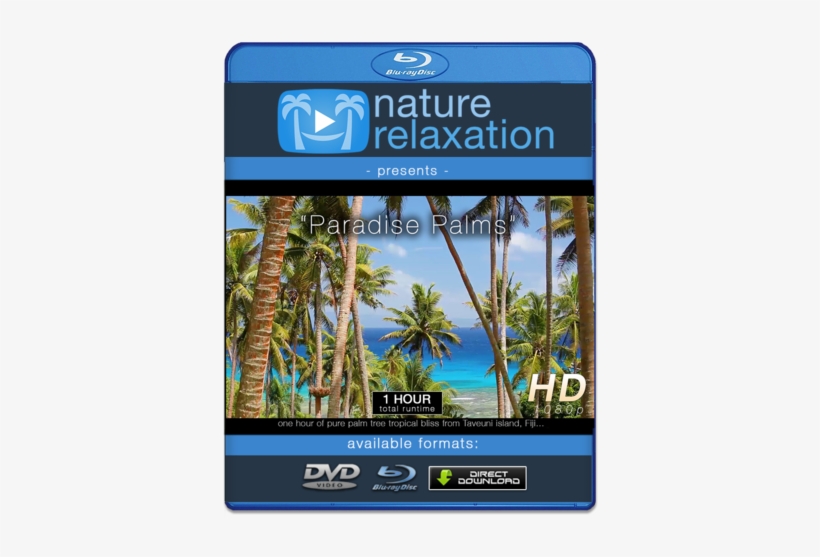 "paradise Palms" Tropical Fiji Static Nature Video - 4k Resolution, transparent png download