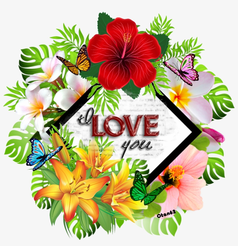 Brushes De Amor, transparent png download