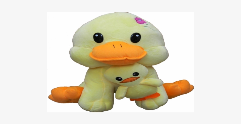 Birthday, transparent png download
