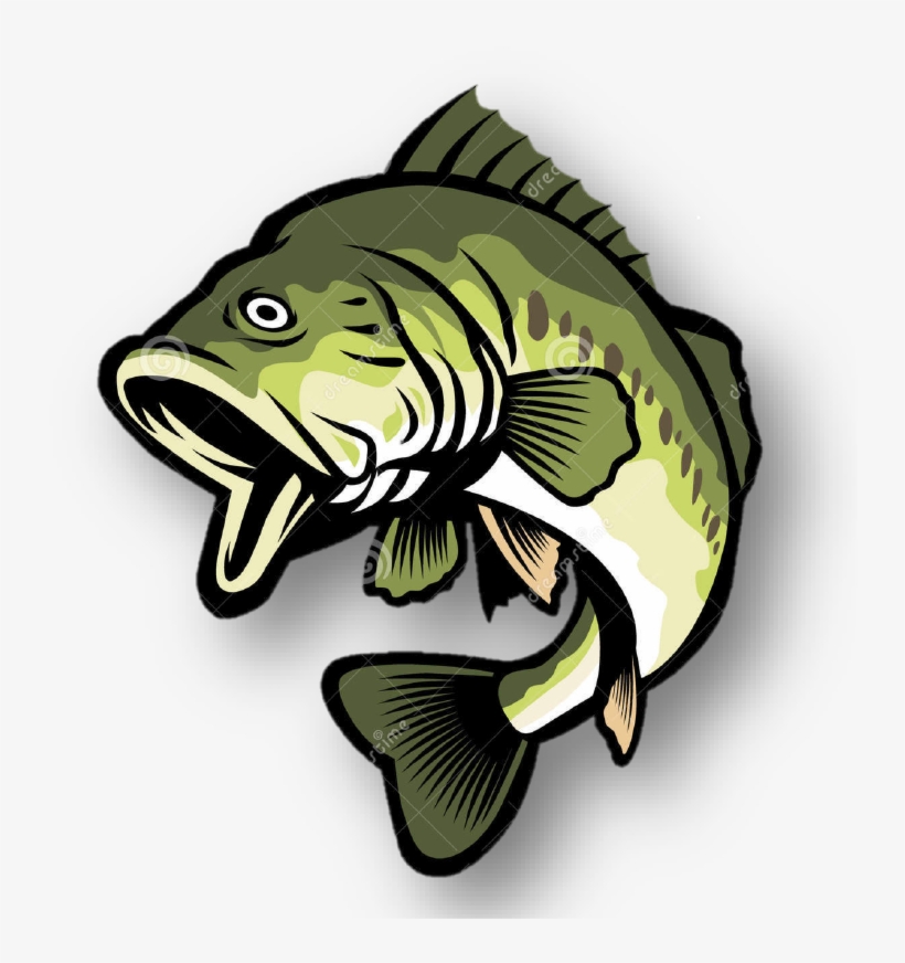 Pastedgraphic-2 - Bass Clipart, transparent png download
