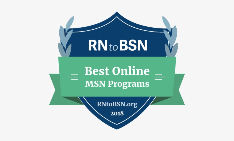 What Is An Online Msn Program - Hybrid 1, transparent png download