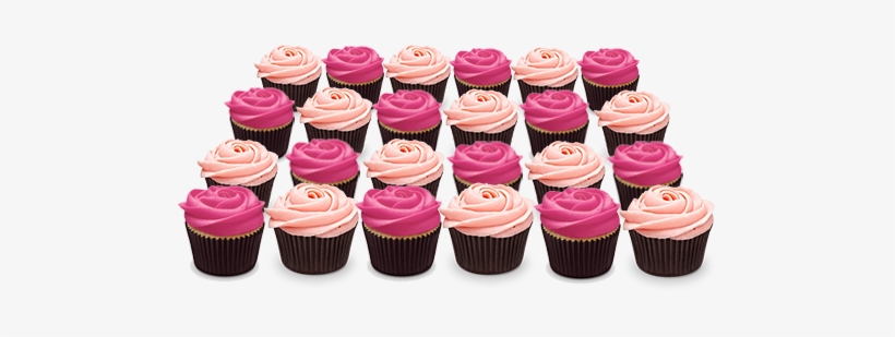 Detail Photo Of Pink Roses - Rose, transparent png download