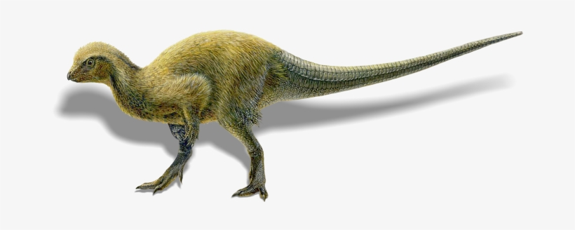 Dino - Tyrannosaurus, transparent png download