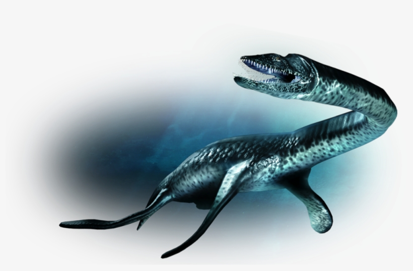 Dino - Plesiosaurus Dinosaur, transparent png download