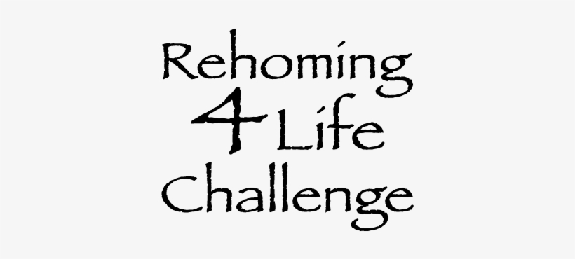 Rehoming 4 Life Logo - Disaster Response Team Church Of Christ, transparent png download