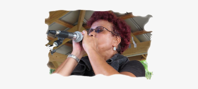 Whether Lady A Shares The Stage In An Intimate Duo, - Florida, transparent png download