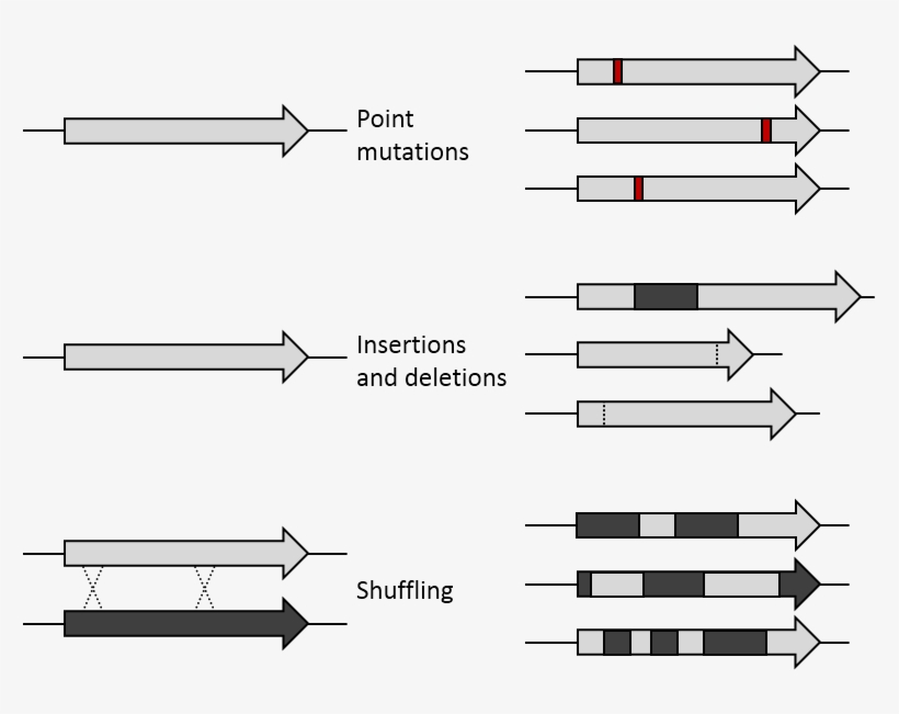 De Mutations - Mutation, transparent png download