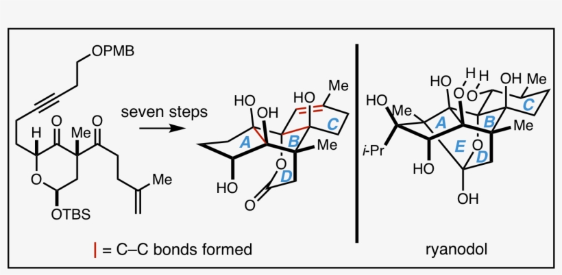 K - Diagram, transparent png download