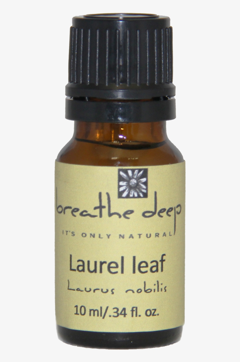 Breathe Deep Laurel Leaf Essential Oil - Roman Chamomile, transparent png download
