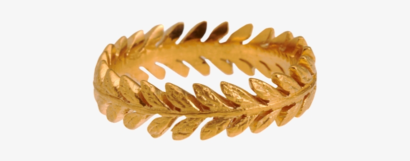 Cathy Waterman Gold Laurel Leaf Band - Ring, transparent png download
