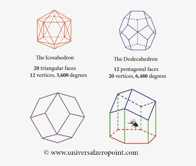The Icosahedron Can Be Placed Inside The Dodecahedron - Diagram, transparent png download