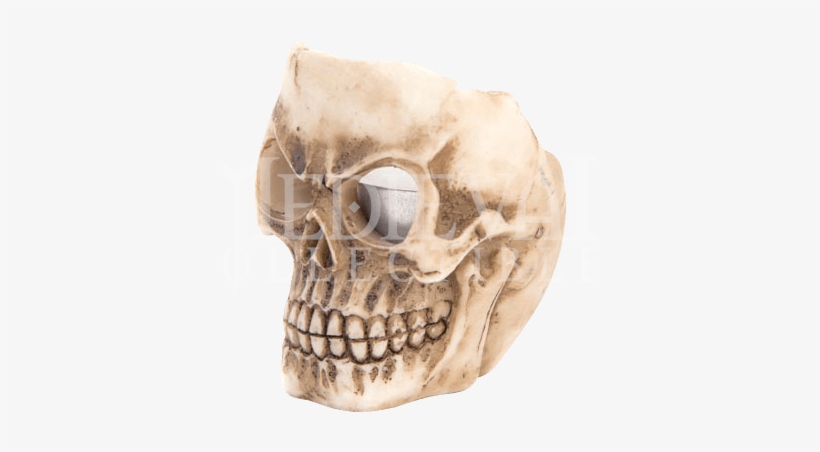 Item - Skull, transparent png download