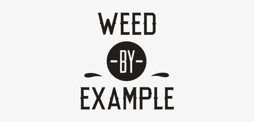 Weed By Example Logo, transparent png download