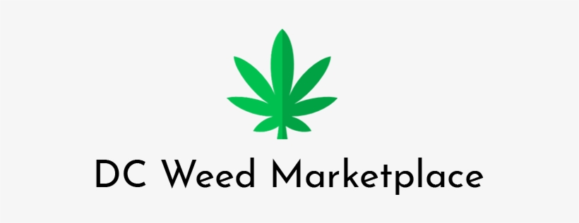 Where All The 420 Seekers Go In Dc - Illustration, transparent png download