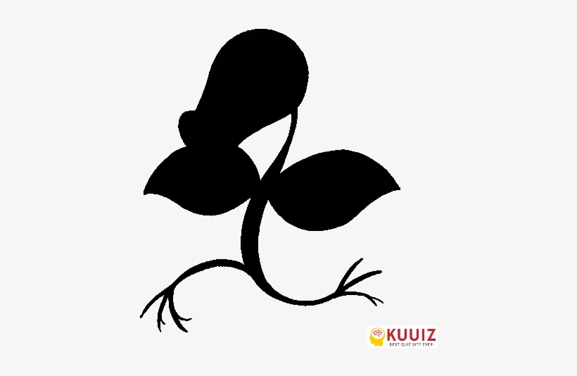 Beepinbell - Victreebel - Victorbell - Bellsprout - Brussel Sprout Pokemon, transparent png download