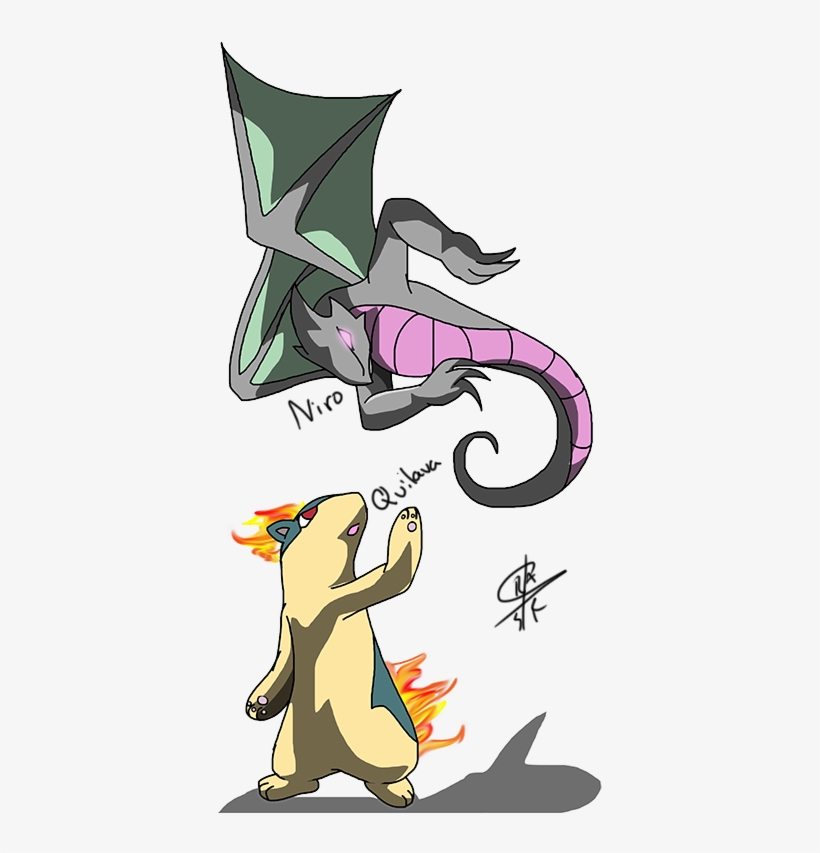 Niro And Quilava - Cartoon, transparent png download