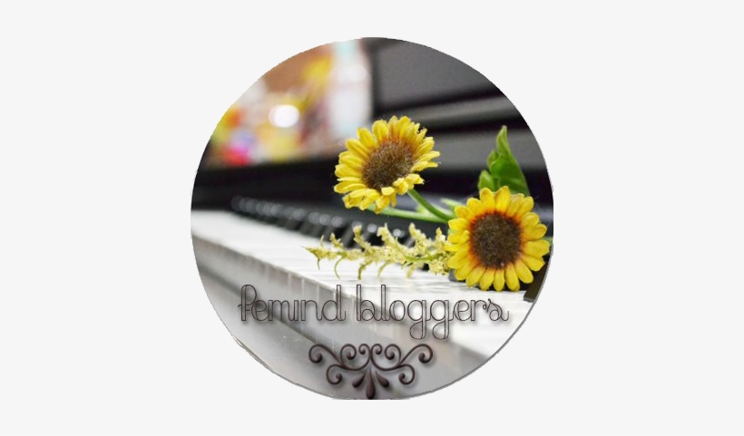 Pastelsfavor Photobucket - Gerbera, transparent png download