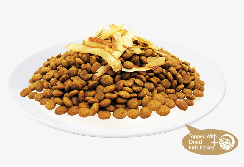 9 Health Benefits - Kit Cat Cat Food Fish Medley, transparent png download