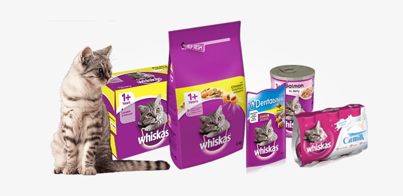 Does Your Cat Love Whiskas® - Whiskas 1+ Cat Pouches Poultry In Jelly 12 X 100g (pack, transparent png download
