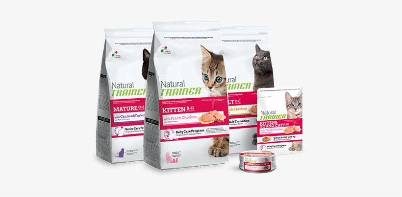 trainer natural kitten