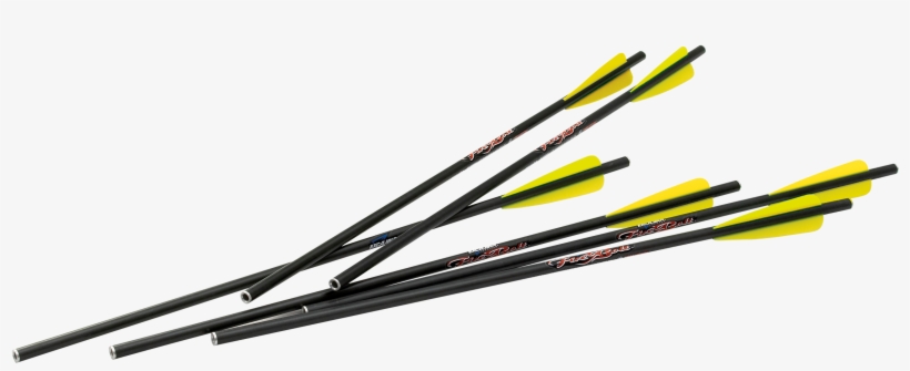 Firebolt Carbon Arrows Jpg - Excalibur Quill 16.5" Carbon Arrows, transparent png download