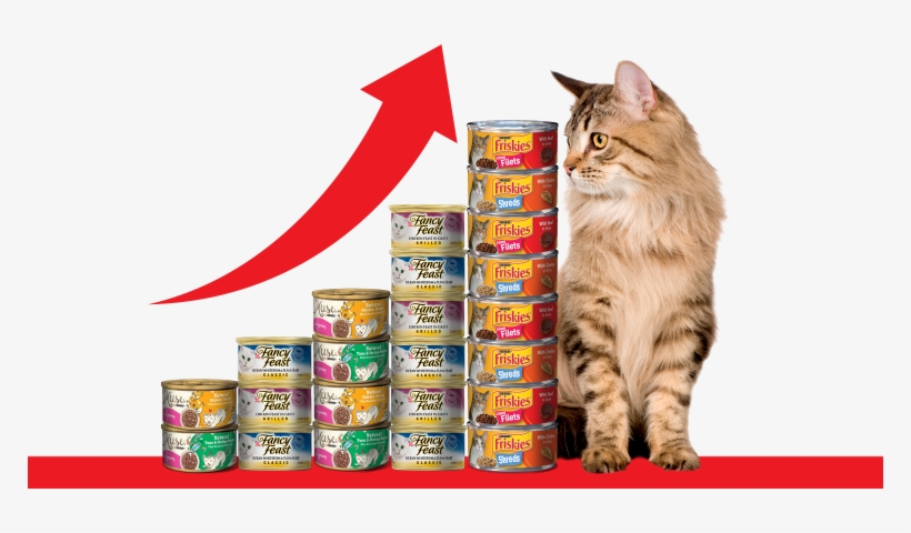 As Pet Food Market Experiences Double Digit Growth, - Cat, transparent png download