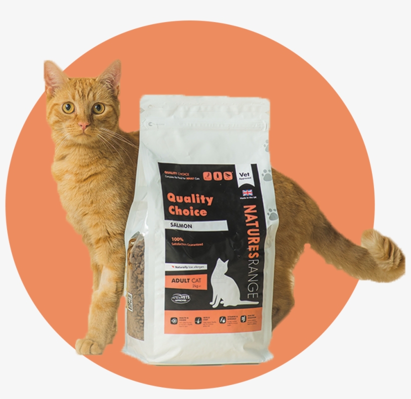 Cat Food - Domestic Short-haired Cat, transparent png download