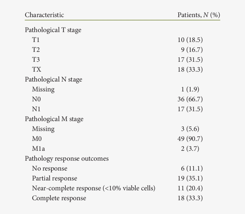 The Pathological Tumor Stage, Nodal Status And Response - Psychiatry, transparent png download
