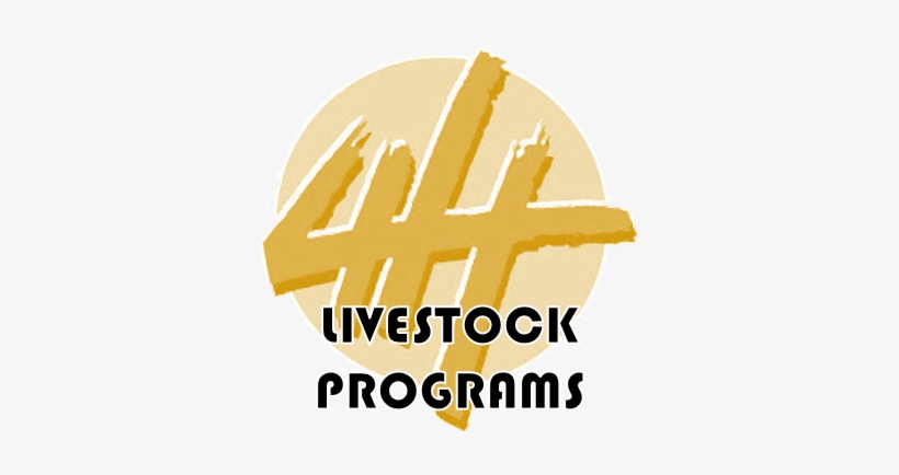 4-h For Webpage Yellow - 4 H Pledge, transparent png download