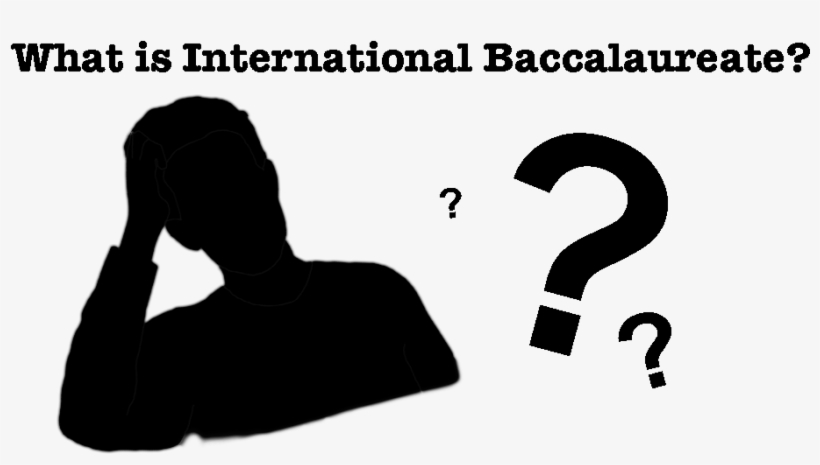 The Programmes Of The International Baccalaureate Have - Love, transparent png download