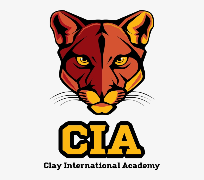 International Baccalaureate Programme Candidacy - Clay International Academy, transparent png download