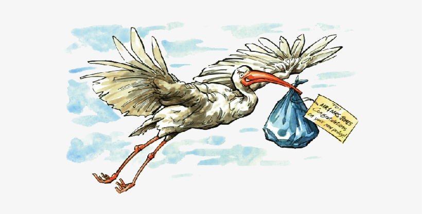 New York Life - Illustration, transparent png download