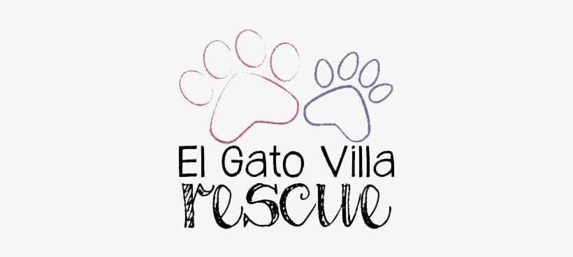 #tourdemeow, transparent png download