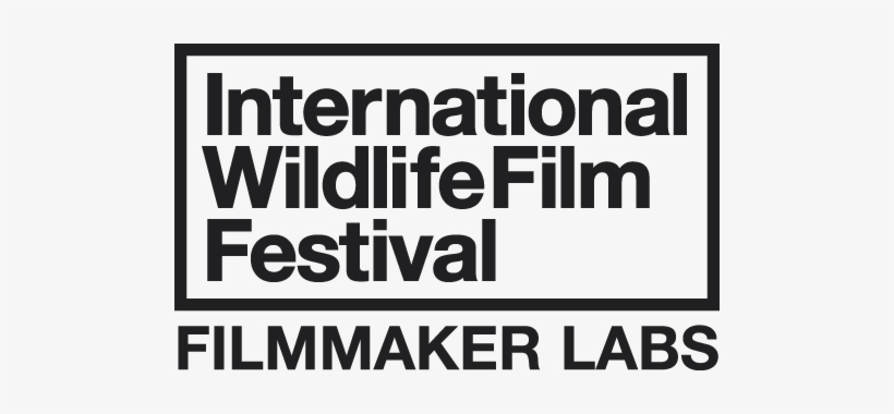Iwff-filmmakerlabs - Rip It Up And Start, transparent png download